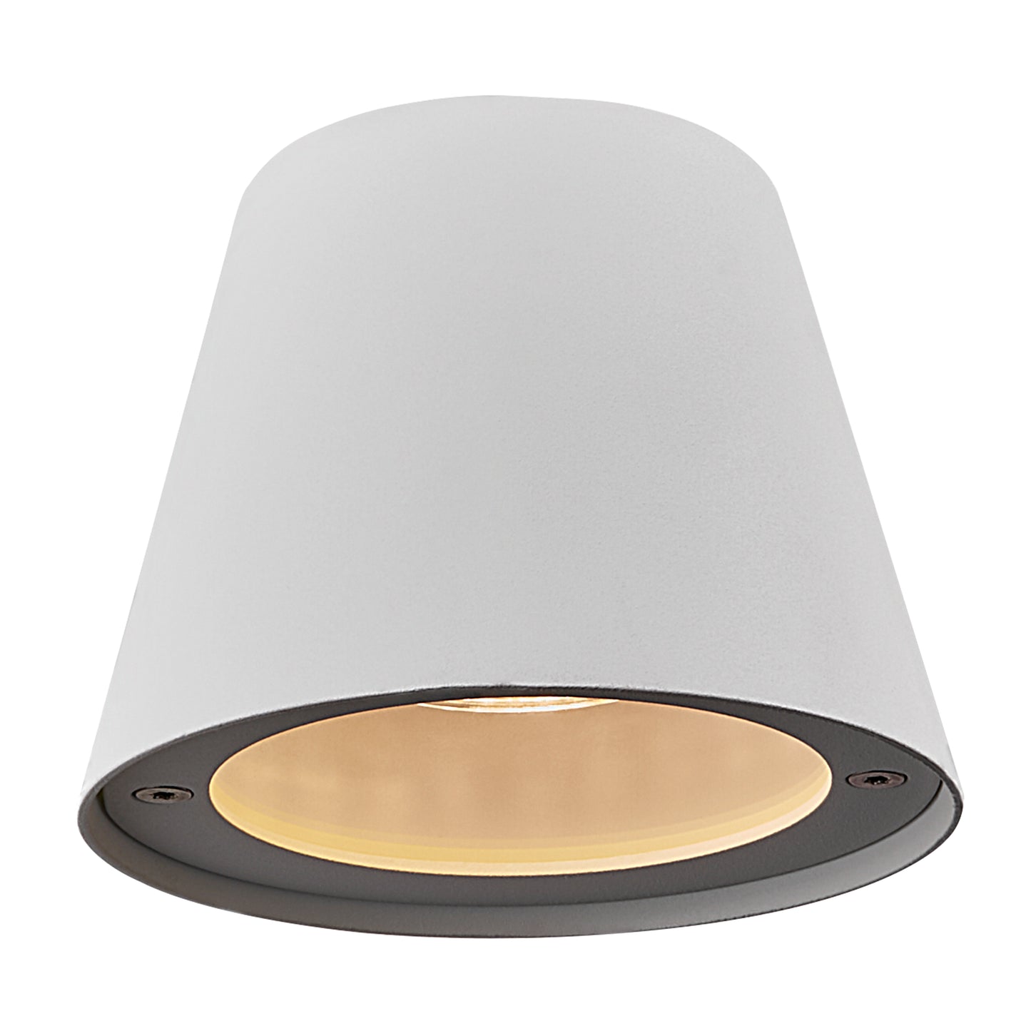 Aleria Outdoor Wall Light