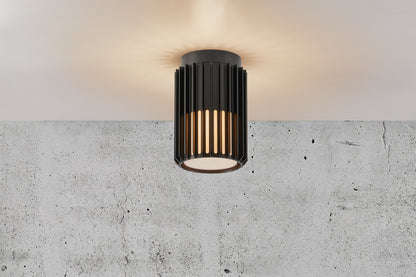 Aludra Outdoor Ceiling Light