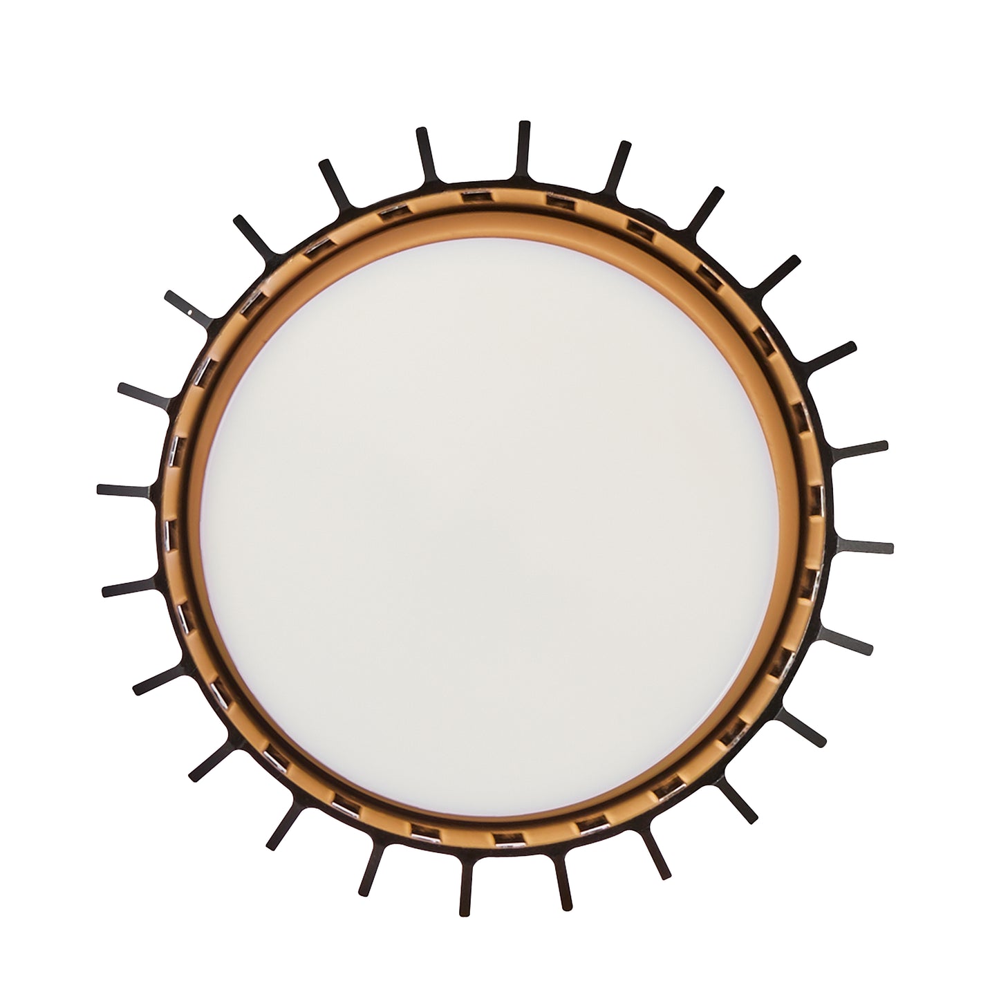 Aludra Outdoor Ceiling Light