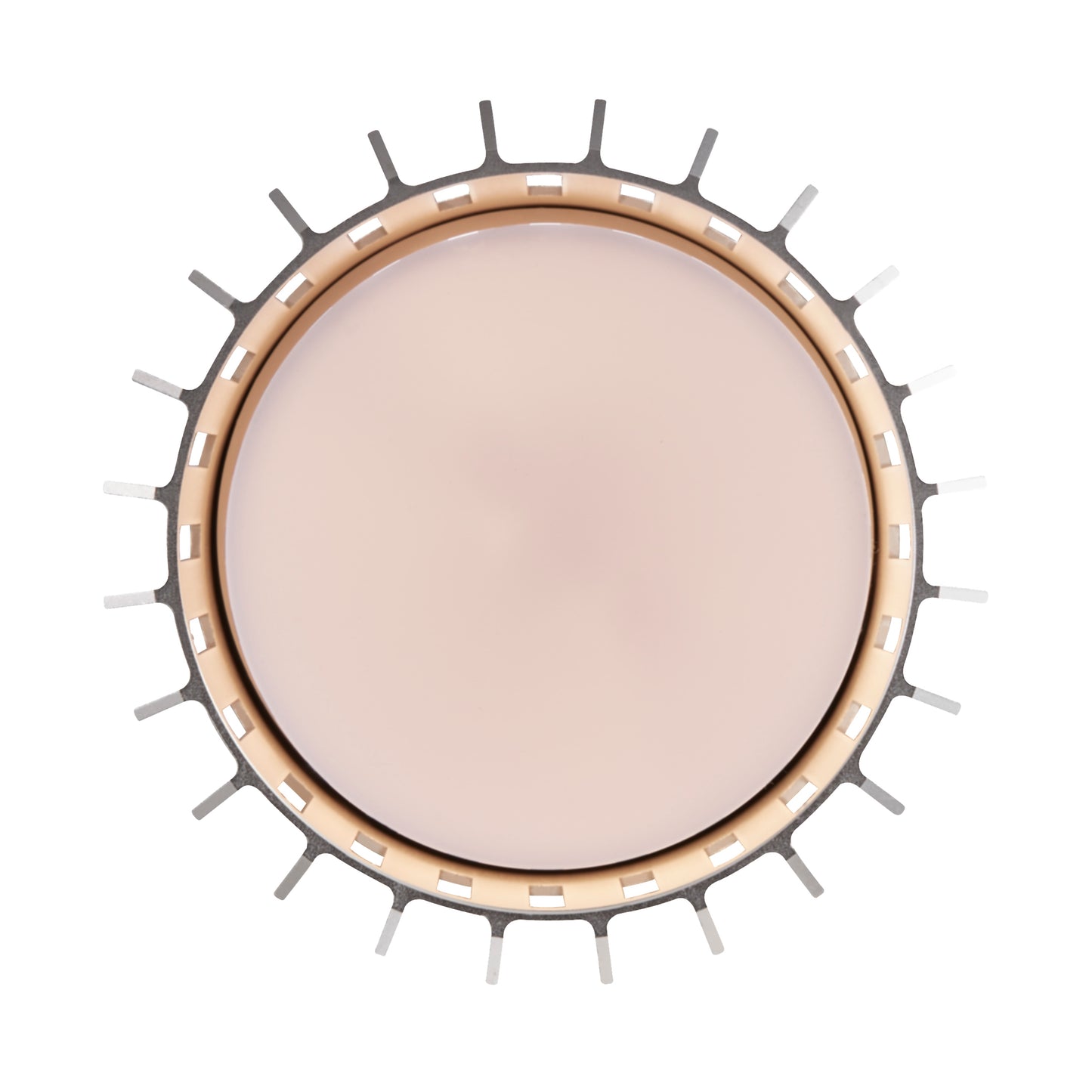 Aludra Outdoor Ceiling Light