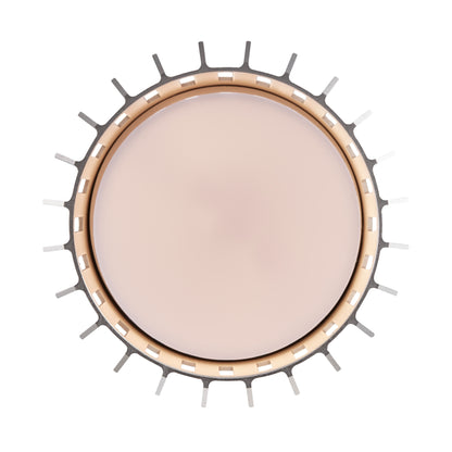 Aludra Outdoor Ceiling Light