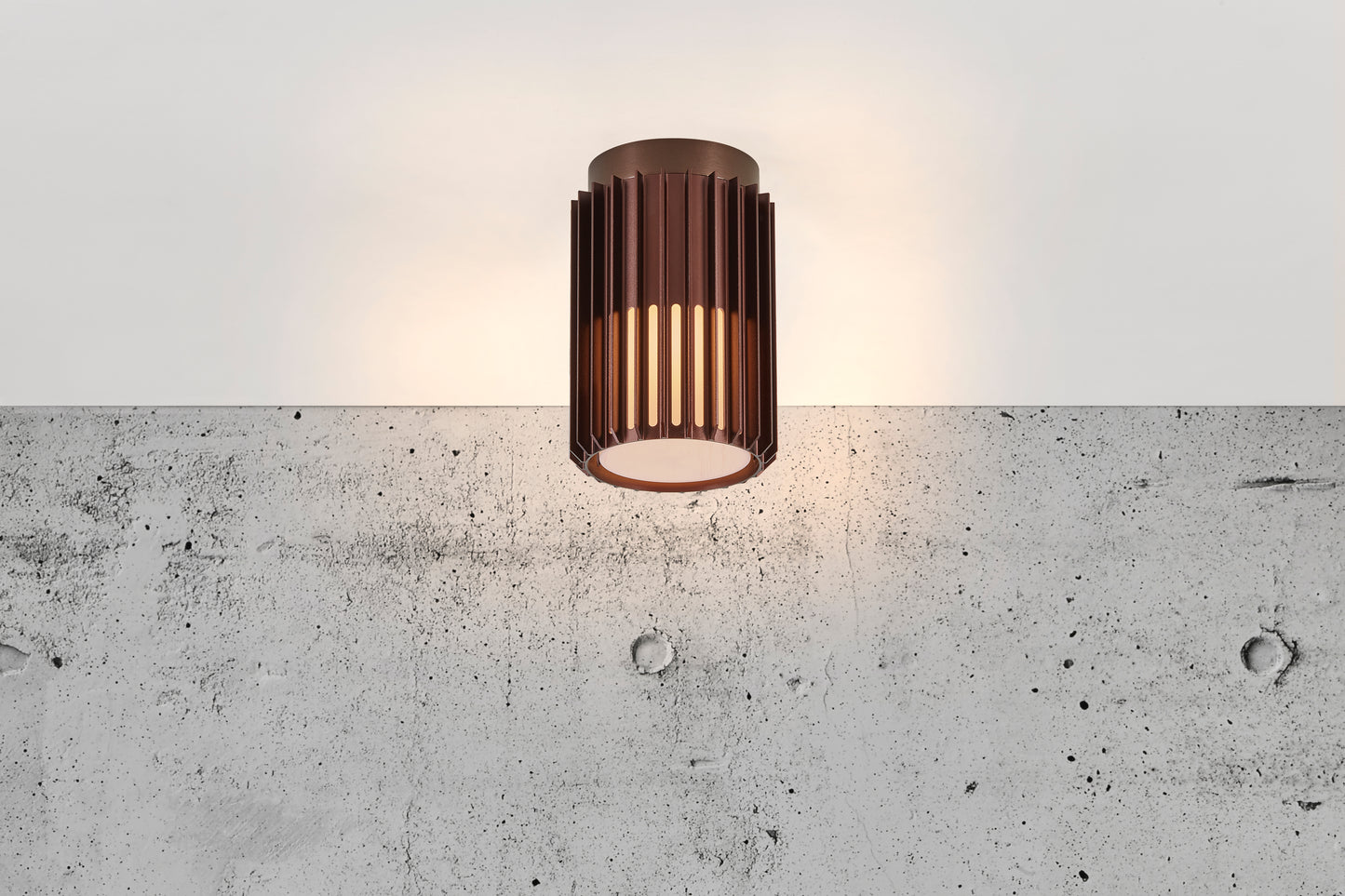 Aludra Outdoor Ceiling Light