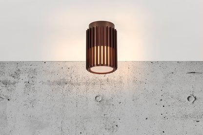 Aludra Outdoor Ceiling Light