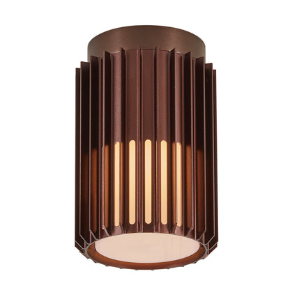 Aludra Outdoor Ceiling Light