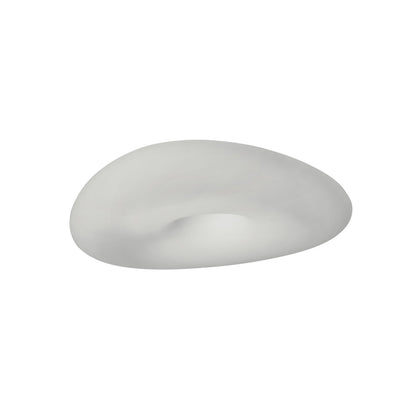 Mr. Magoo Wall & Ceiling Light