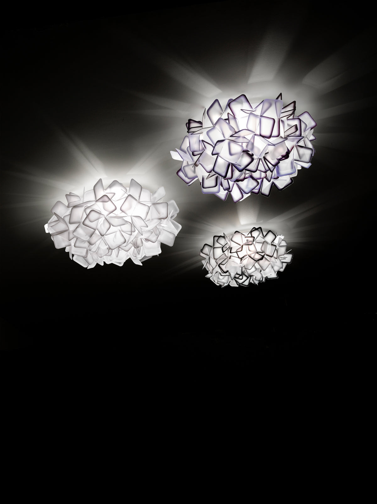 Clizia Ceiling and Wall Light