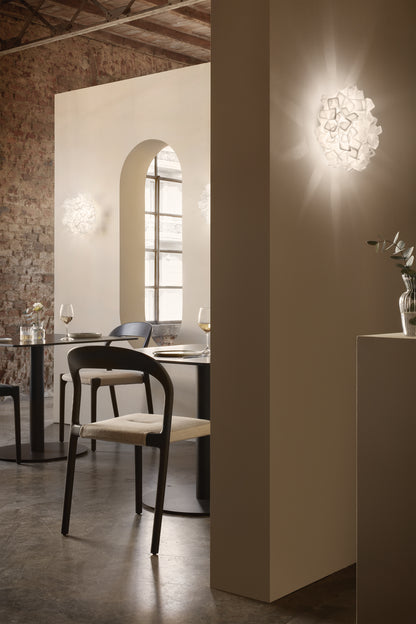 Clizia Ceiling and Wall Light