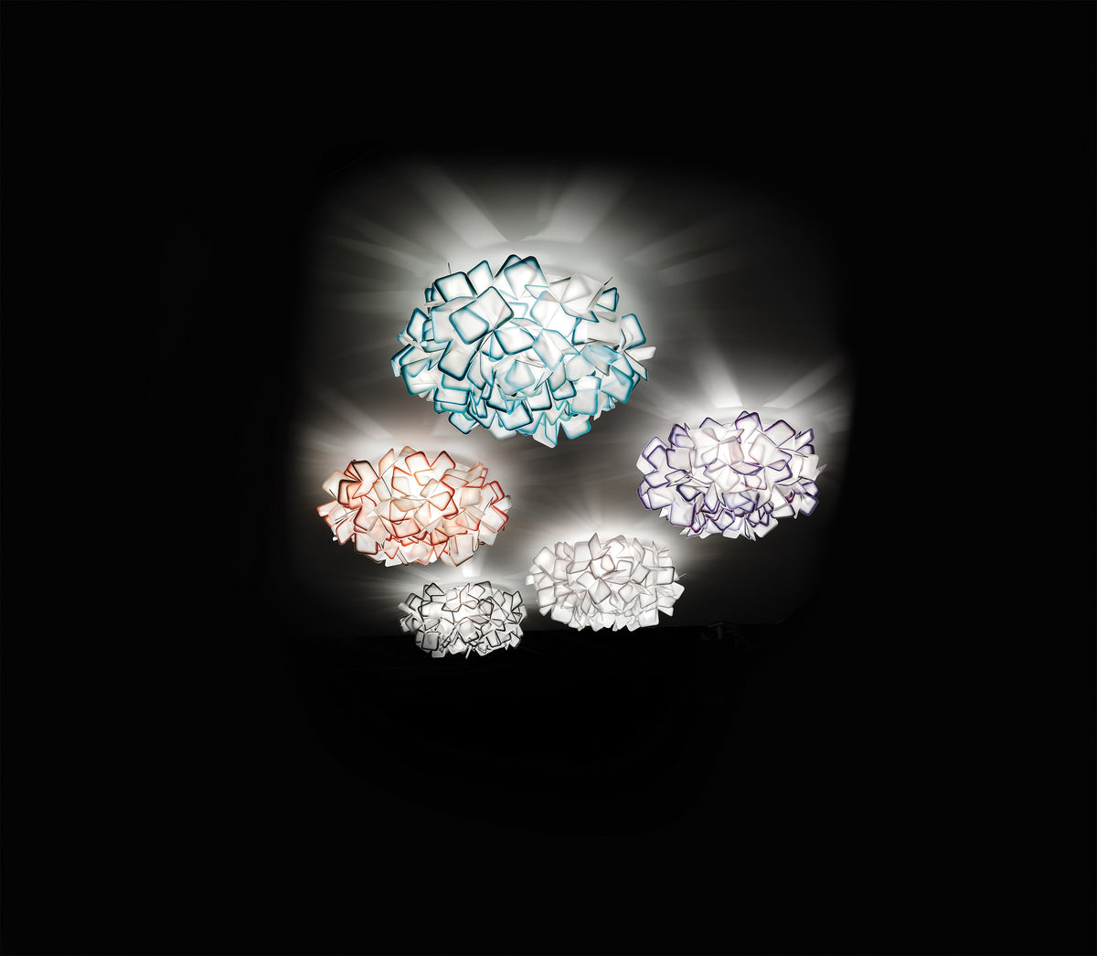 Clizia Ceiling and Wall Light