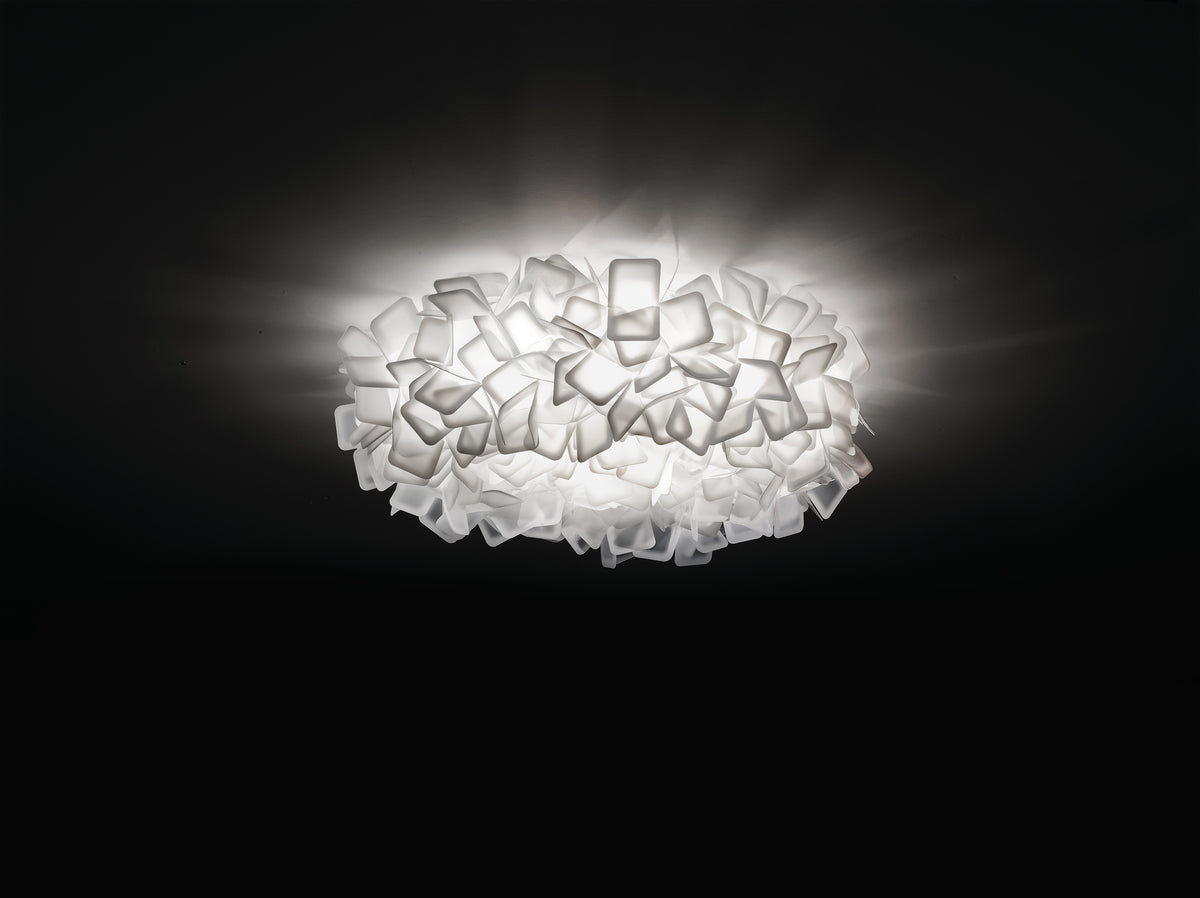 Clizia Ceiling and Wall Light