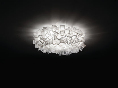 Clizia Ceiling and Wall Light