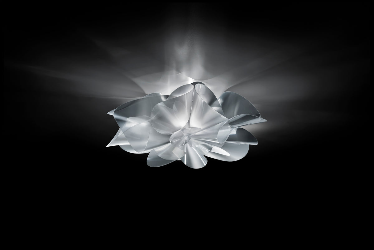 Etoile Ceiling and Wall Light