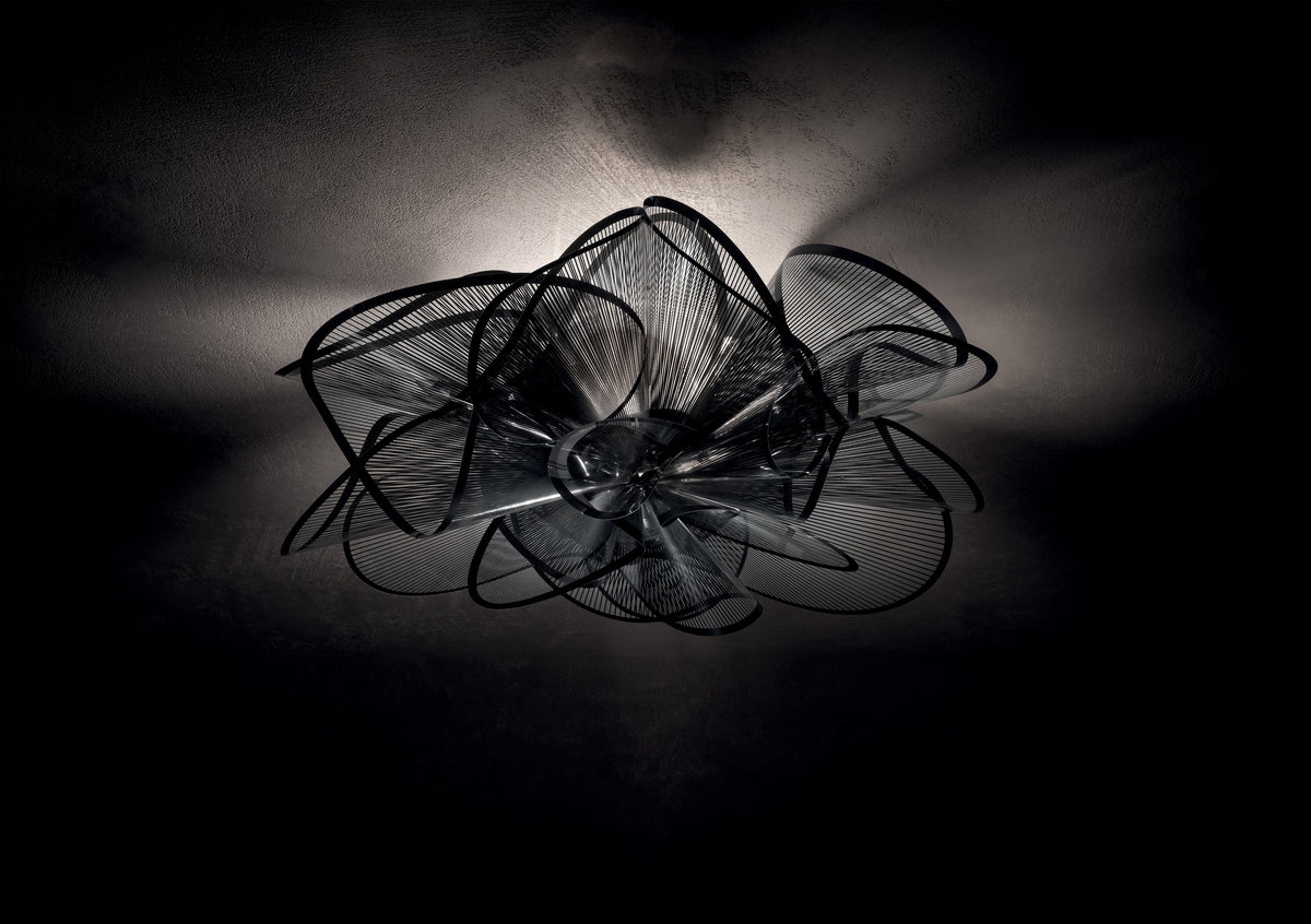 La Belle Etoile Ceiling and Wall Light