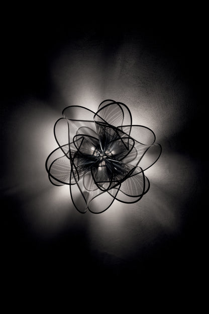 La Belle Etoile Ceiling and Wall Light