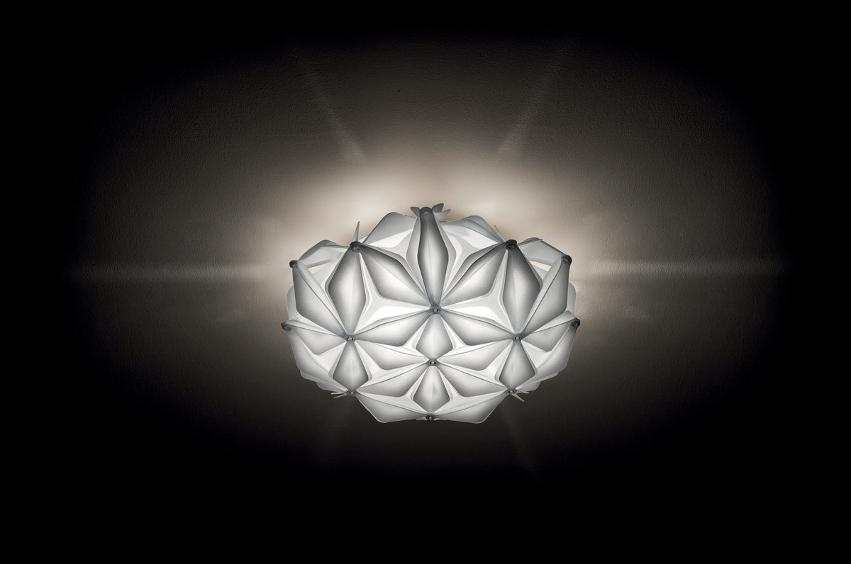 La Vie Ceiling and Wall Light