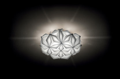 La Vie Ceiling and Wall Light