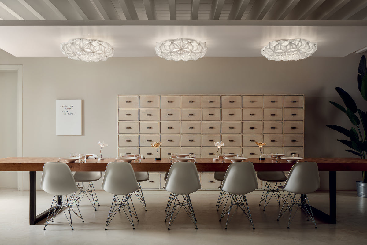 La Vie Ceiling and Wall Light