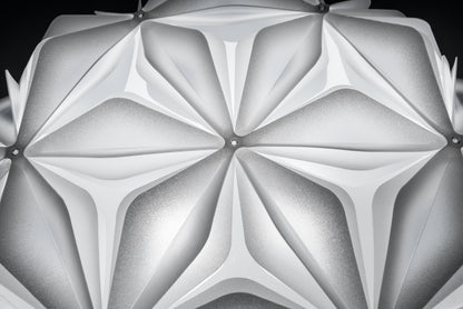 La Vie Ceiling and Wall Light