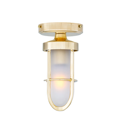 Oregon A Cage Well Glass Flush Ceiling Light IP65