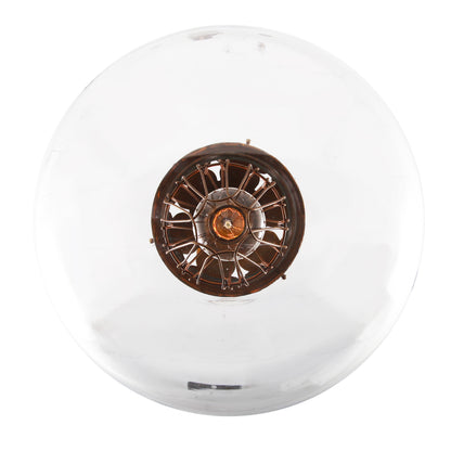 Robyn Large Clear Glass Globe Cage Pendant Light