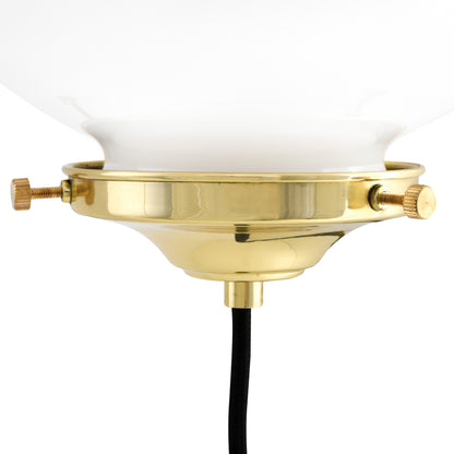 Oranmore Glass Globe Wall Light in Circular Steel Ring