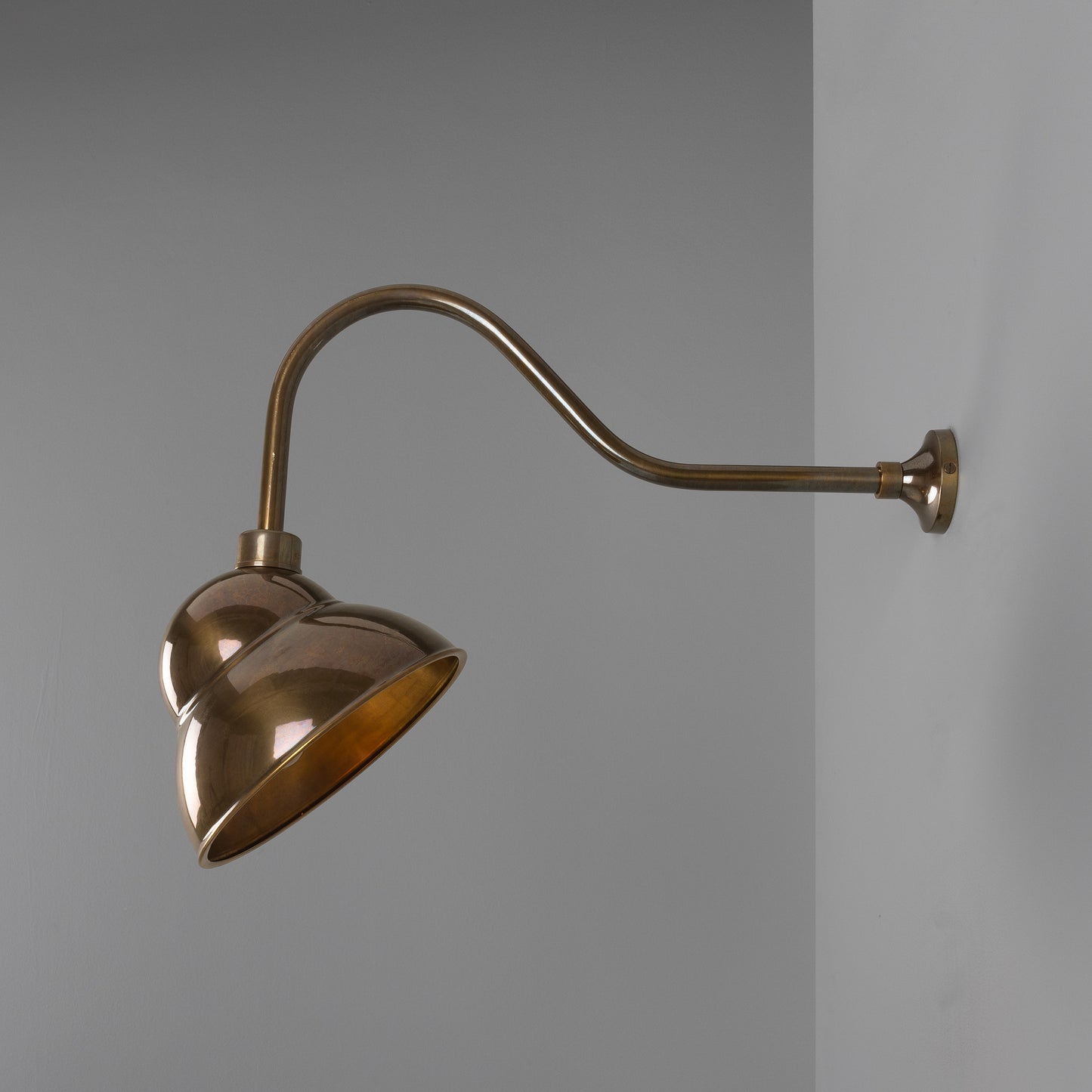 Novo Vintage Swan Neck Sign Light