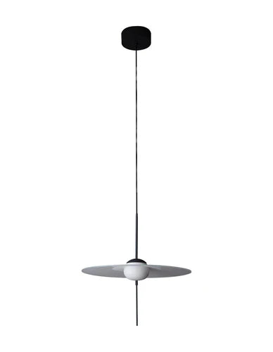 Suspension Mono