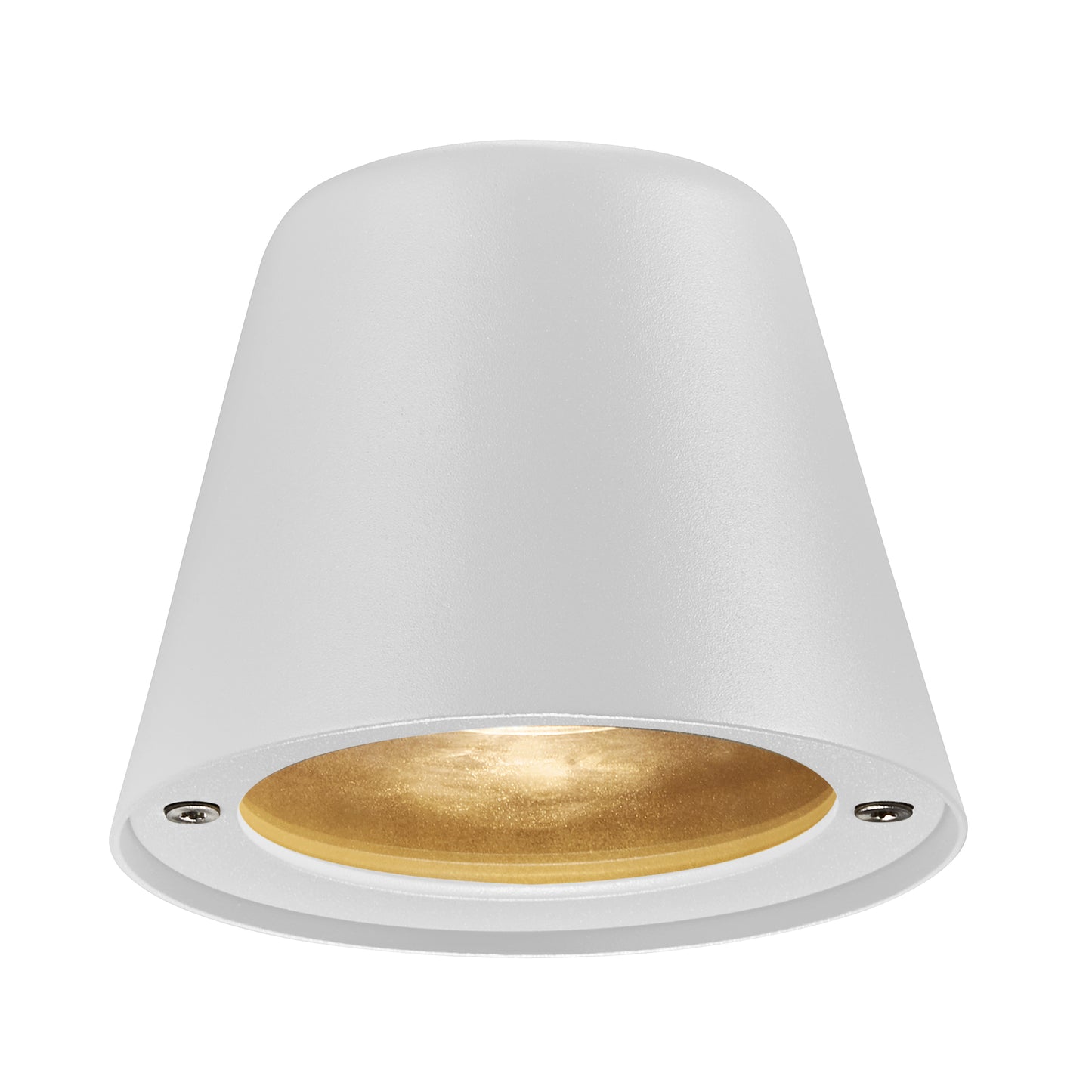 Aleria Outdoor Wall Light