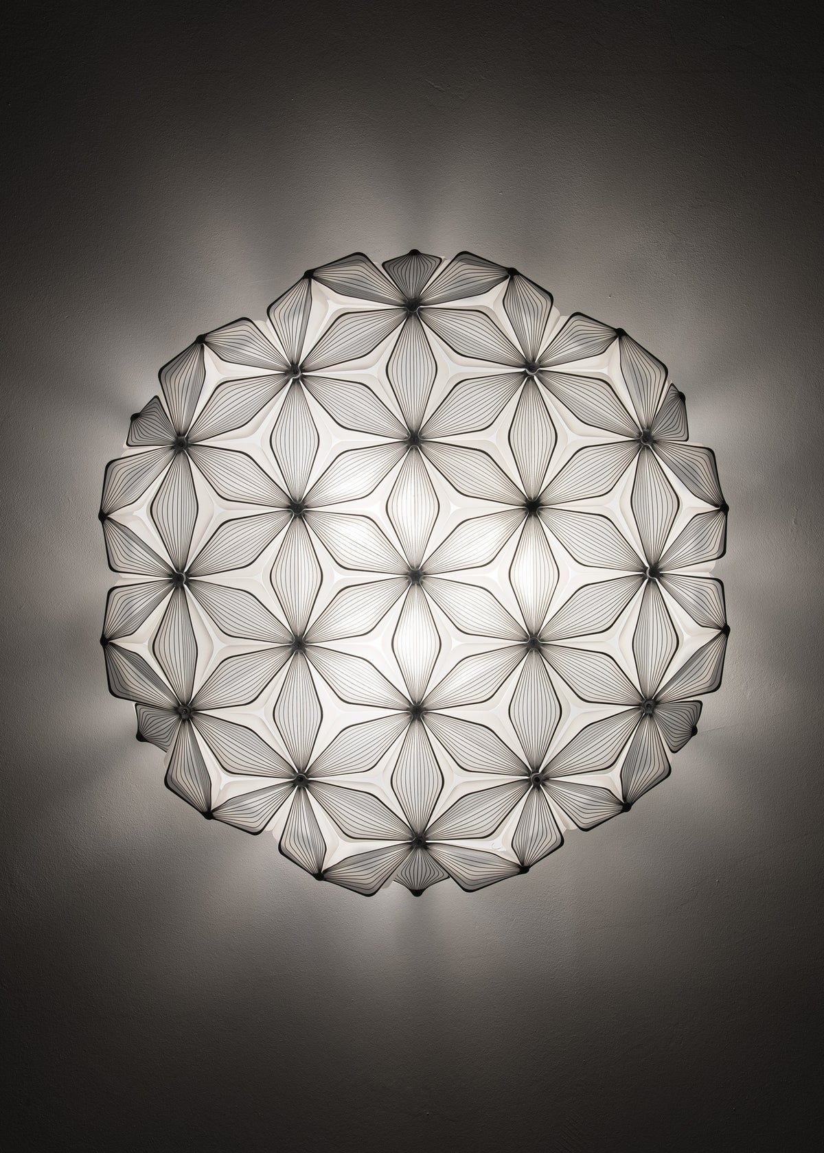 C'est La Vie Ceiling and Wall Light