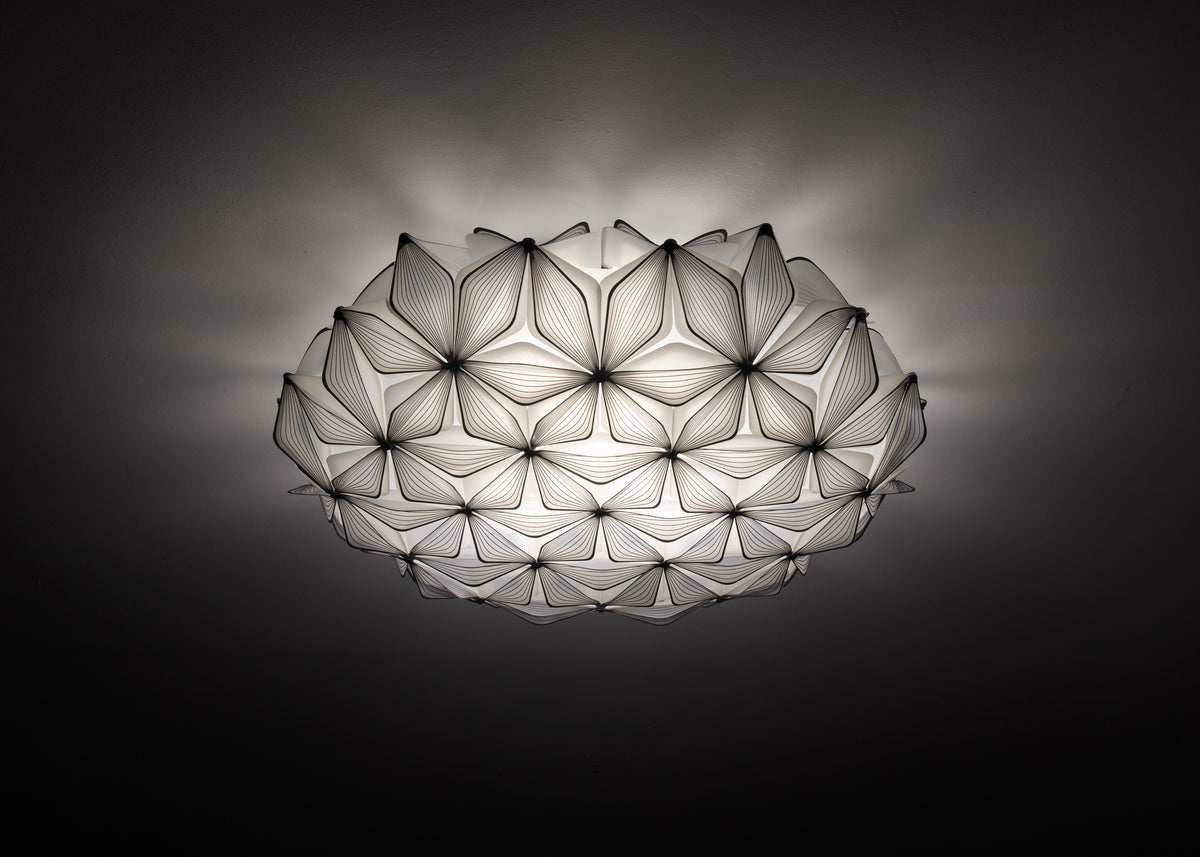 C'est La Vie Ceiling and Wall Light