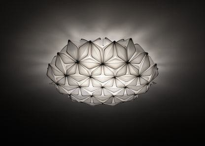 C'est La Vie Ceiling and Wall Light