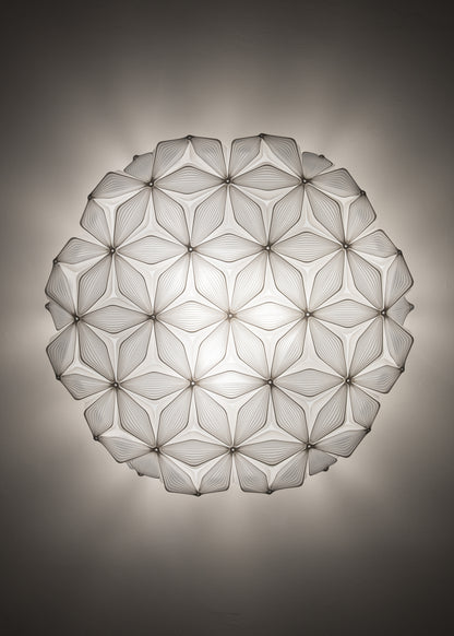 C'est La Vie Ceiling and Wall Light