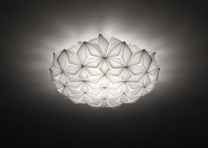 C'est La Vie Ceiling and Wall Light