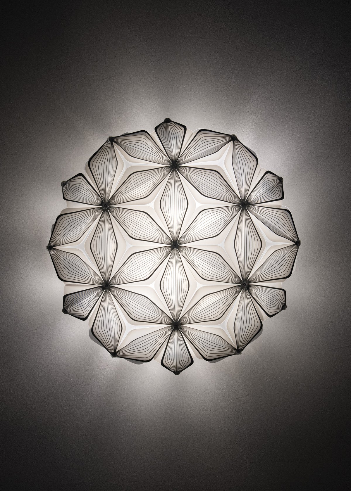 C'est La Vie Ceiling and Wall Light