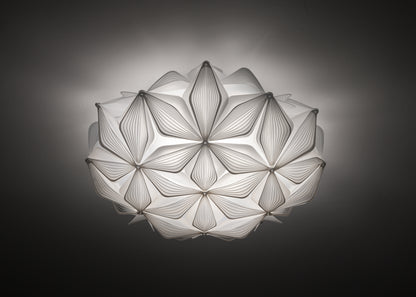 C'est La Vie Ceiling and Wall Light