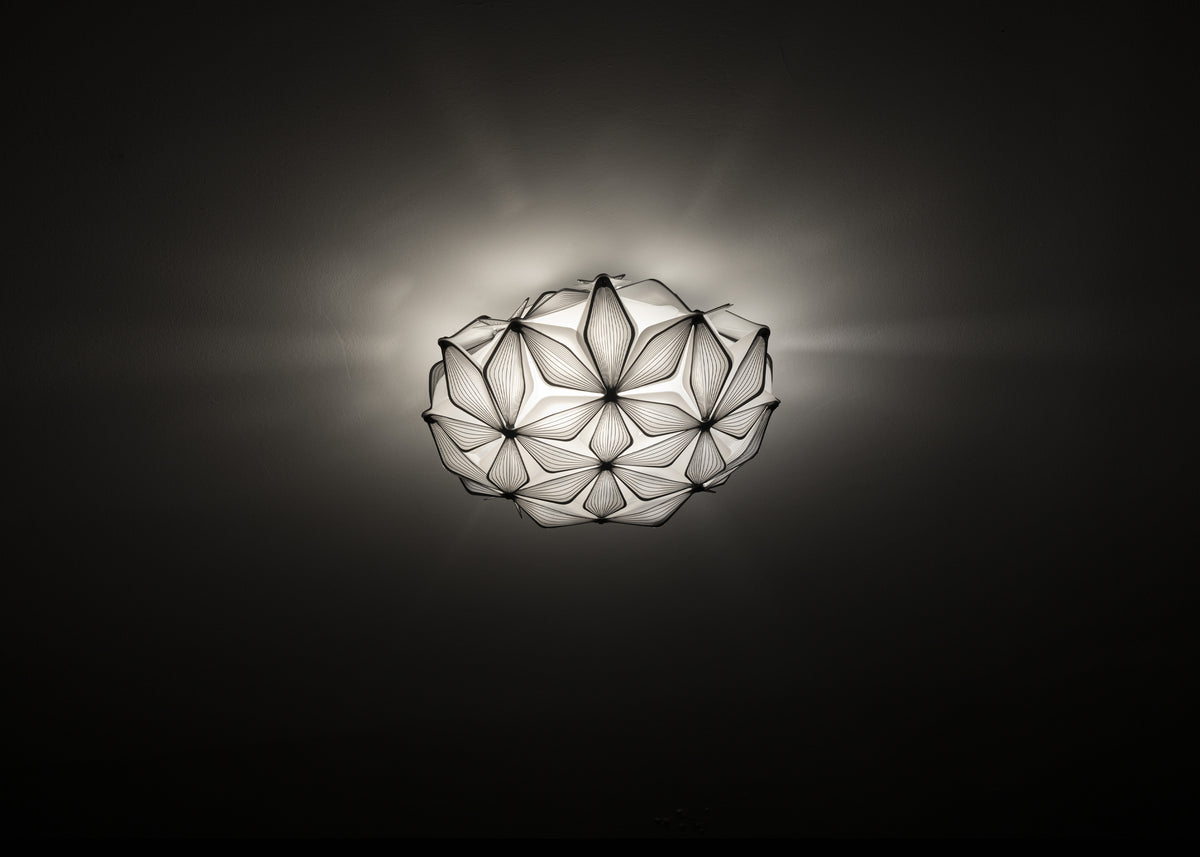 C'est La Vie Ceiling and Wall Light