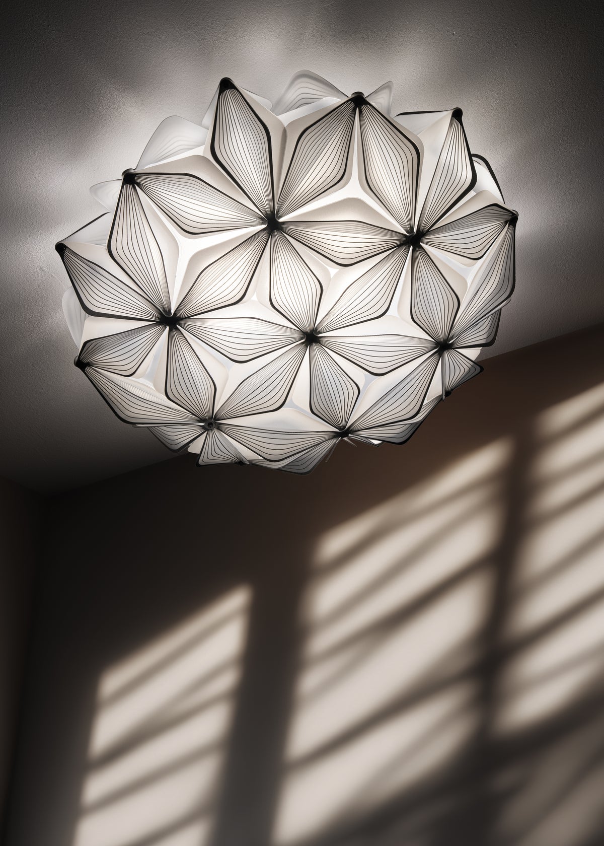 C'est La Vie Ceiling and Wall Light