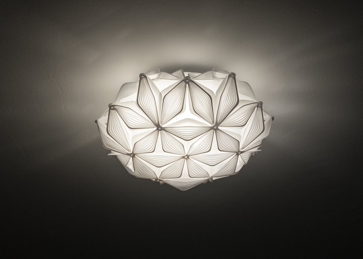 C'est La Vie Ceiling and Wall Light