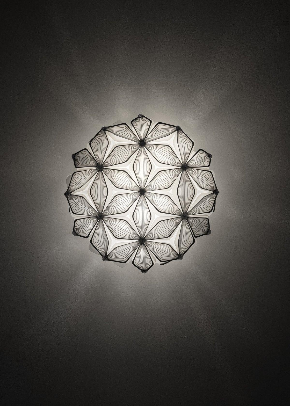 C'est La Vie Ceiling and Wall Light