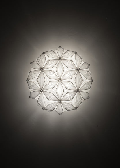 C'est La Vie Ceiling and Wall Light