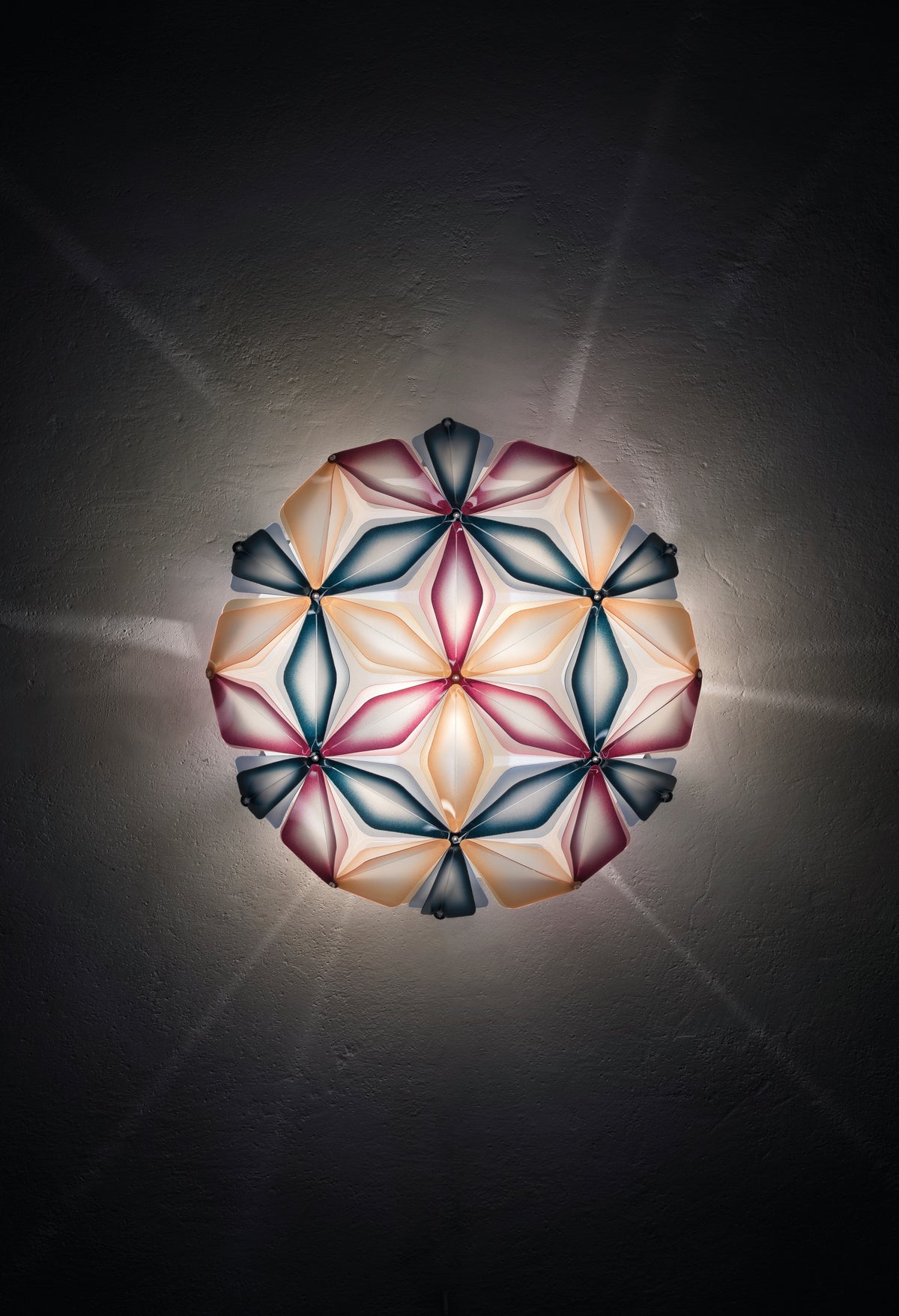 La Vie Ceiling and Wall Light