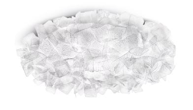 Clizia Ceiling and Wall Light
