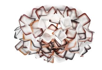 Clizia Ceiling and Wall Light