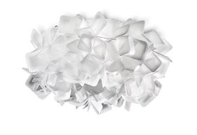 Clizia Ceiling and Wall Light