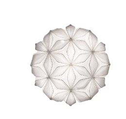 C'est La Vie Ceiling and Wall Light