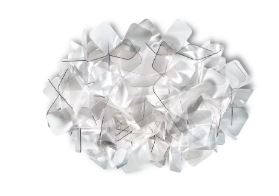 Clizia Ceiling and Wall Light