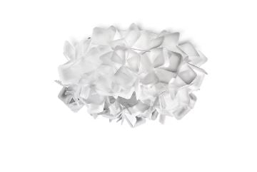 Clizia Ceiling and Wall Light